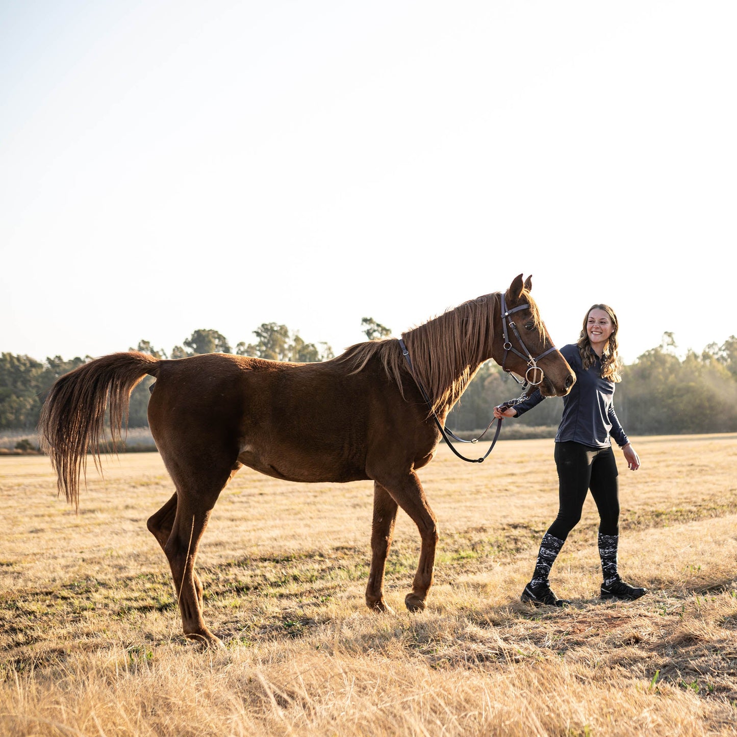 Dinosaur Knee High Socks
