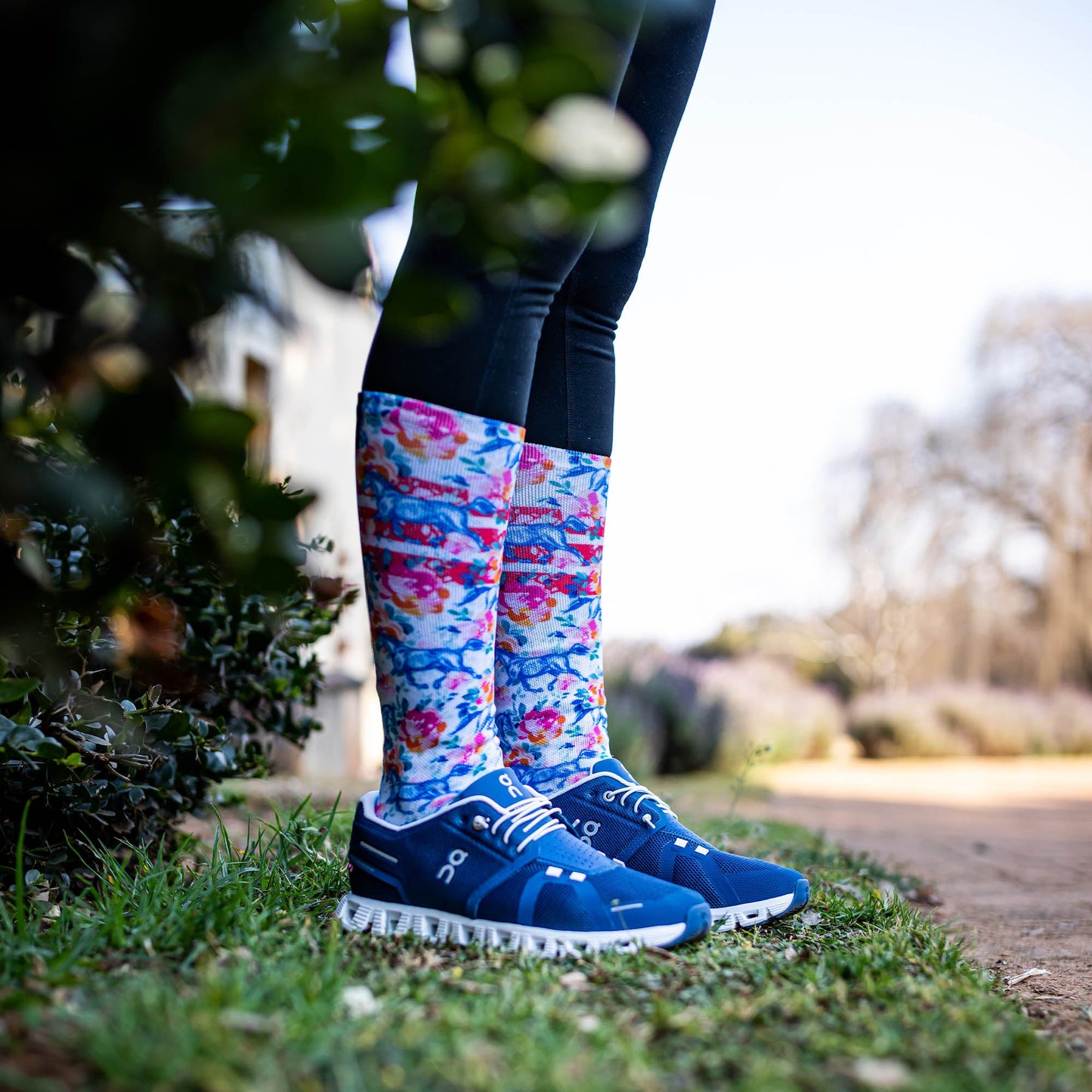 Horses Knee High Socks